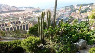 Blick aus dem Botanischen Garten über Monaco