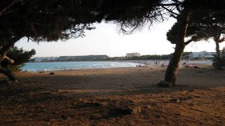 Naturschutzgebiet Punta de Amer