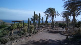 Jardin Botanico de Cactus