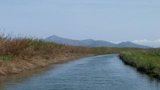 Naturpark S'Albufera