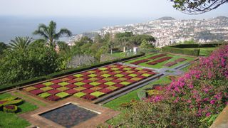 Besuchen Sie mit Ihrem Mietwagen den Botanischen Garten
