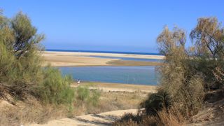 Besuchen Sie mit Ihrem Mietwagen den Naturpark Ria Formosa...