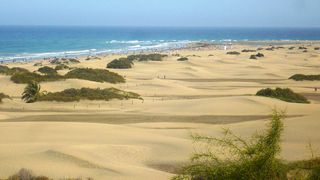 Dünen von Maspalomas