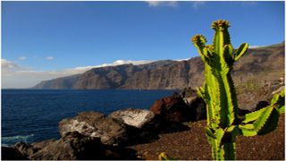 Los Gigantes
