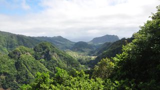 Ribeiro Frio Forest Park