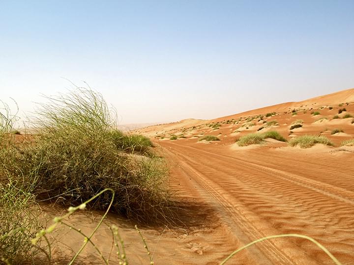 Wahiba Sands: Der Weg in die Wüste